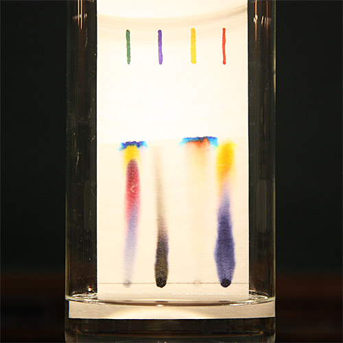 Chromatography Button